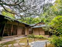 京都 | 友禪苑，紀念友禪染創始人誕辰300年的山水庭園