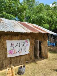 흥과 신이 가득한 특별한 충북 음성축제