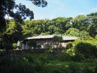 【枯松神社】外海のキリシタン神社、出津教会堂や旧出津救助院【潜伏キリシタンの里】