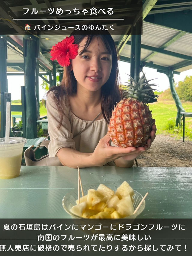 【7月の石垣島】おすすめ観光🏝️これ絶対やって！