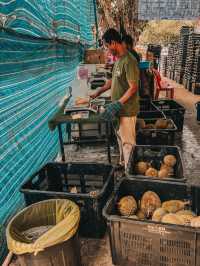 King of Fruits Gem – Durian Prince @ Bandar Menjalara Kepong 