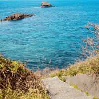 Futatsugame Beach: Shizuoka’s Secret Coastal Paradise – A Solo Traveler’s Escape"** 🌊🐢   