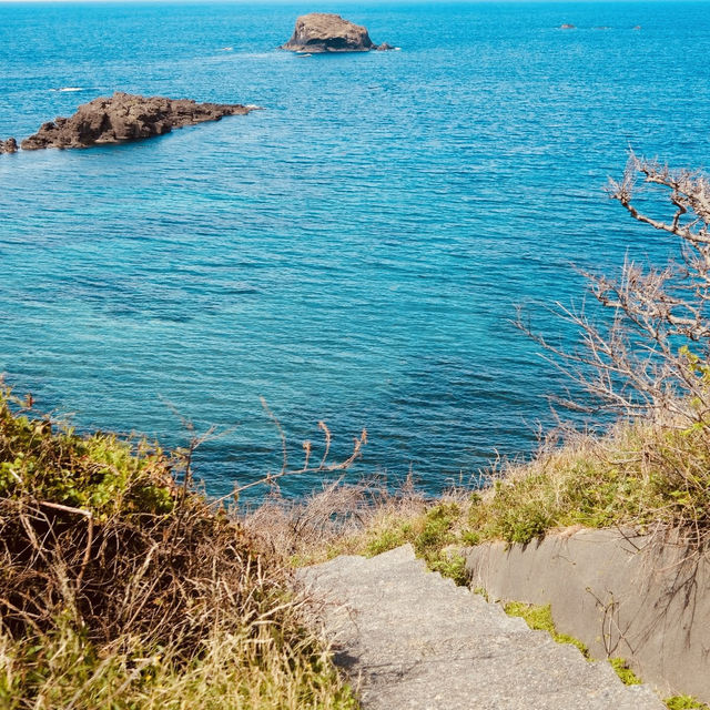 Futatsugame Beach: Shizuoka’s Secret Coastal Paradise – A Solo Traveler’s Escape"** 🌊🐢   