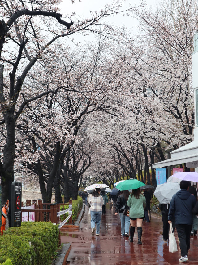 Seoul in April