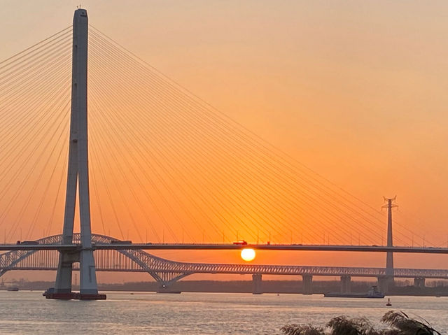 南京魚嘴濕地公園