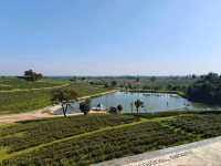 Tea with a View? Say Less! Choui Fong is Pure Bliss