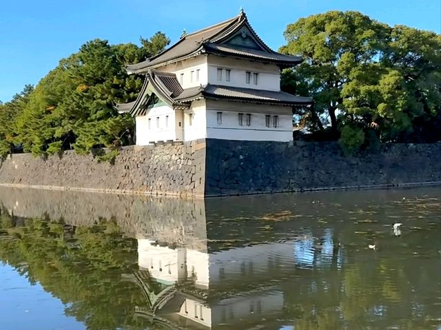 A Glimpse into the Heart of Tokyo – The Imperial Palace
