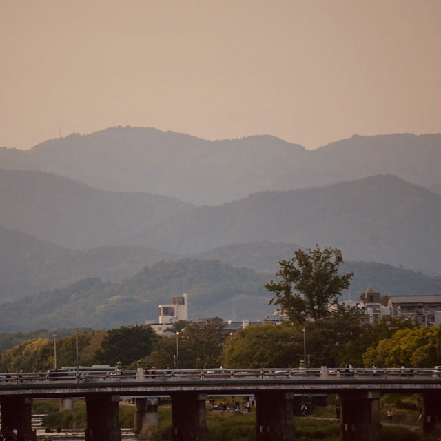 Summer Escape at Kamo River (鴨川), Kyoto: A Refreshing Urban Oasis