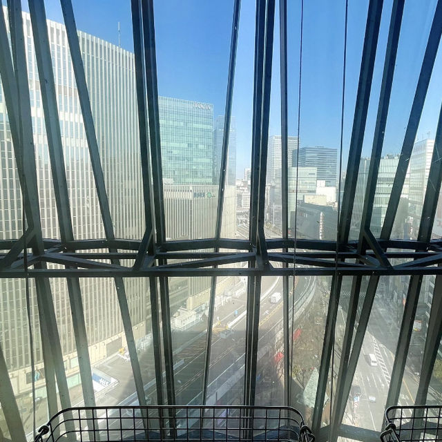 【東京/銀座🇯🇵】ギリシャ料理を楽しむ🇬🇷THE APOLLO