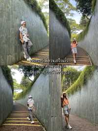 Fort Canning Tree Tunnel สวยจนอยากไปซ้ำ!!!🍀🌳