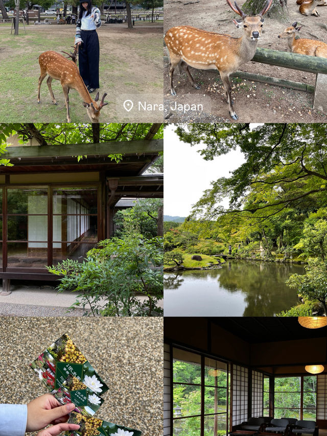 A Day with me In OSAKA & KYOTO