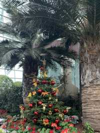 🌿 Cloud Forest — Singapore’s Climate-Controlled Paradise