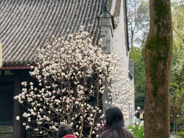 ⛩️ A Cultural Legacy of the Three Kingdoms in Chengdu