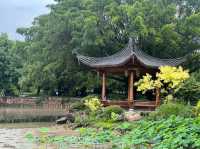 Zuohai Park ☀️ 