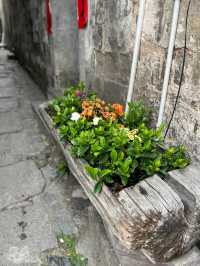 No Filter Needed: Hongcun Is the Real-Life Painting
