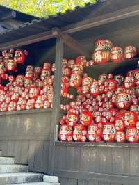 วัดดารุมะ Katsuoji temple