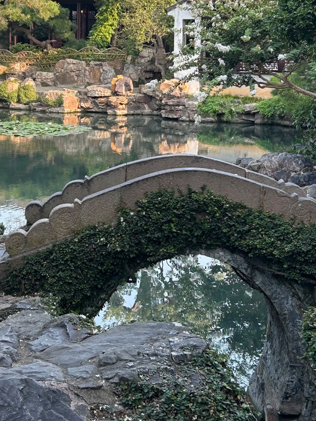 🌙🌿 Master of the Nets Garden