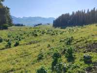 Fairy Lake: Crossing Mountains to Find the Lake
