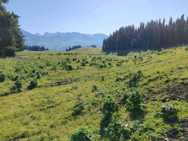 Fairy Lake: Crossing Mountains to Find the Lake