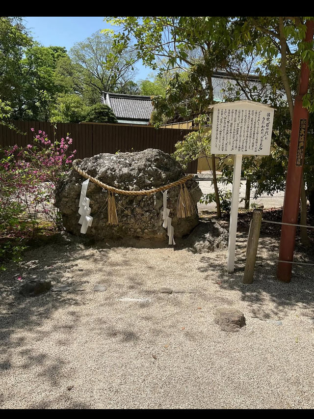 【下鴨神社】森と水に包まれる聖地🌿みたらし団子の発祥地で心清める旅