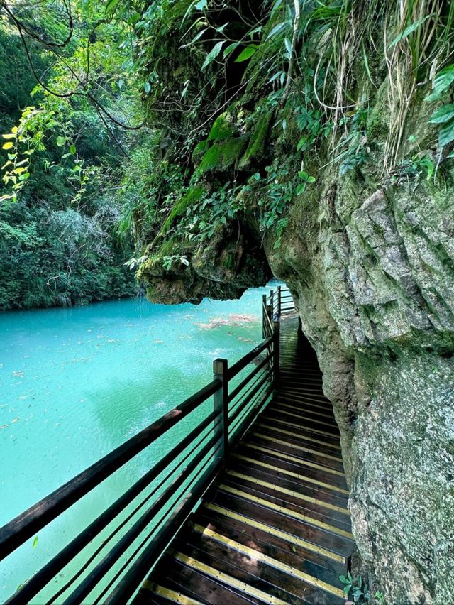 Walking on Air: The Thrill of Zhangjiajie Glass Bridge