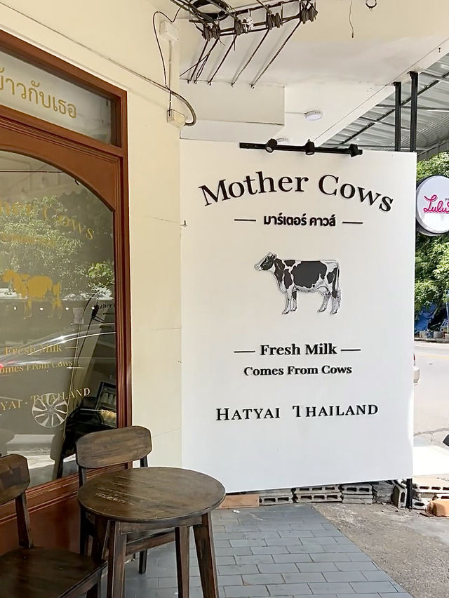 MOTHER COWS ร้านนมสุดฮิตหาดใหญ่🐄