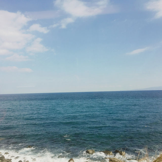 河津櫻