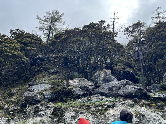  🏔️ Escape to the Last Shangri-La — Daocheng Yading (稻城亚丁)