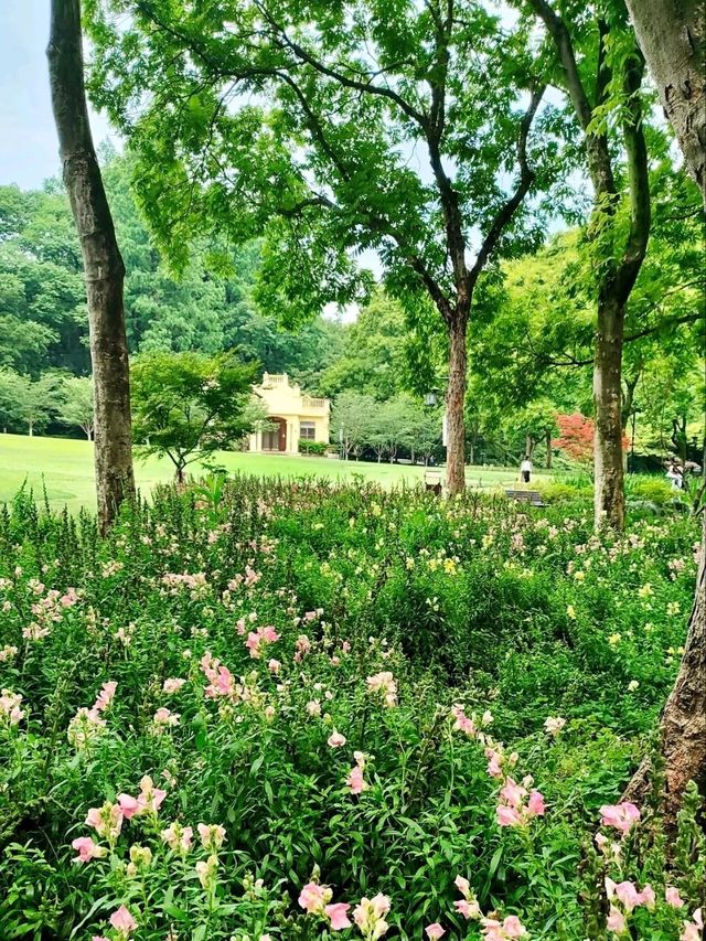 Where West Lake’s Romance Blooms – A Floral Fairytale for All Seasons