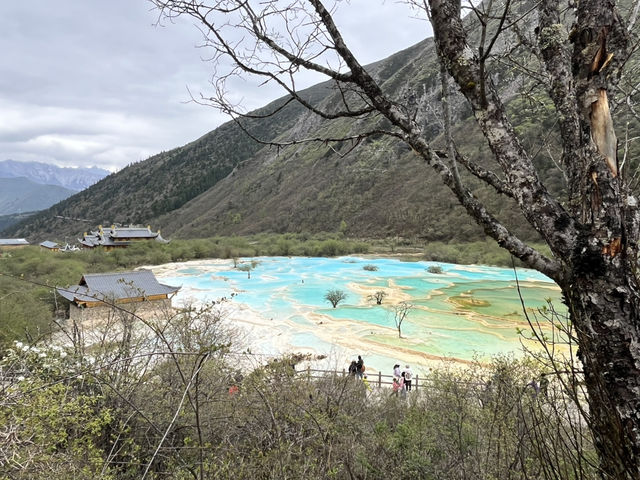 🐉 Huanglong Scenic Area 黄龙风景区 | China’s Fairyland in the Mountains