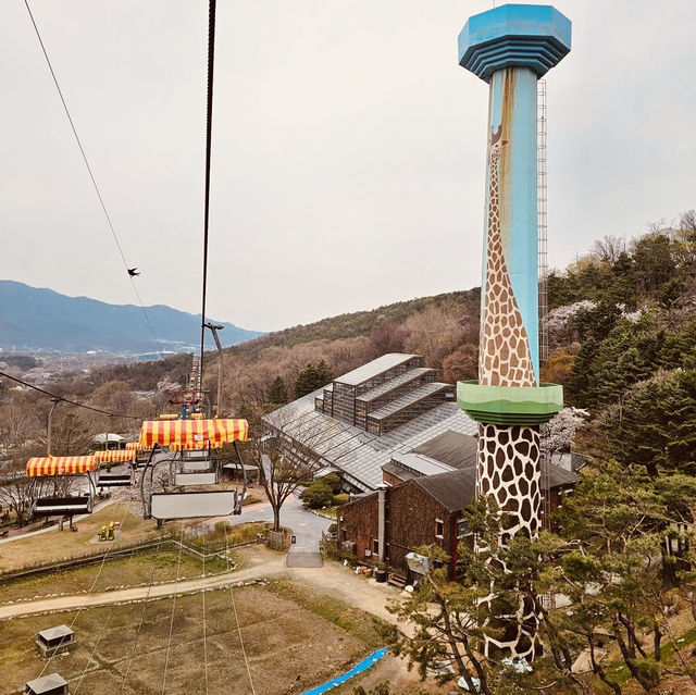 🦒🐘 Wild Adventures Await: Solo Trip to Seoul Grand Park Zoo! 🌿📸