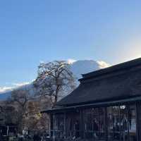 Mt. Fuji View from Oshino Hakkai (忍野八海):