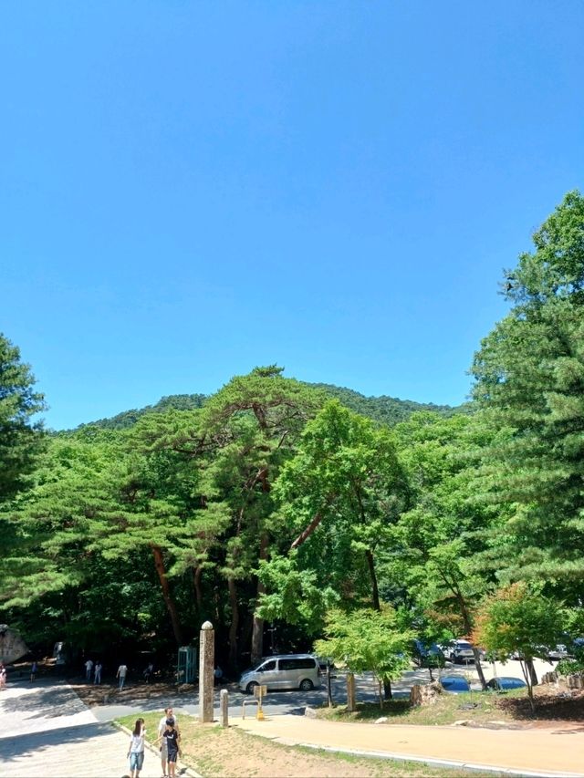 자연속 사찰 여행