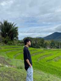 🌾 Medan’s Rice Terraces Are Nature’s Quiet Masterpiece