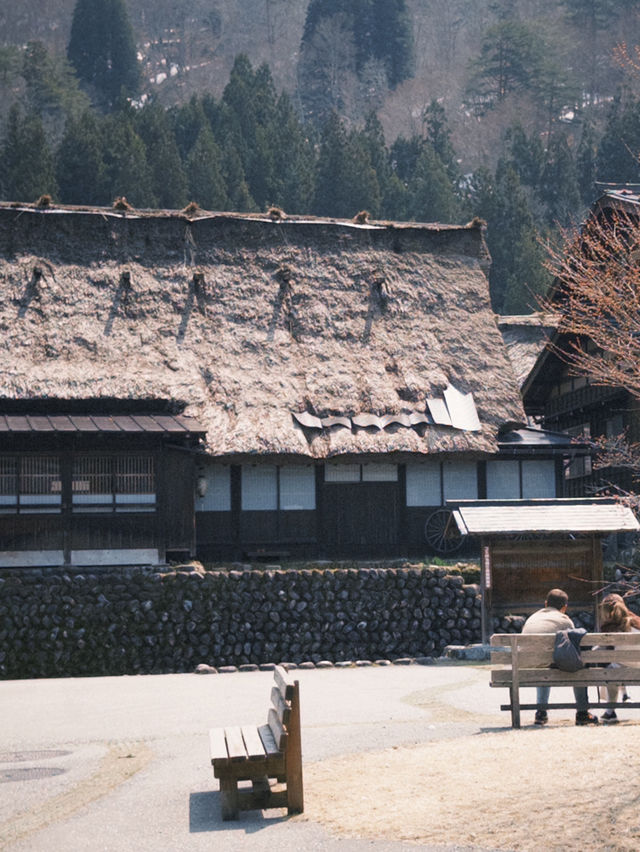 🏡 หมู่บ้าน Shirakawa-go – โลกนิทานมีอยู่จริง ❄️
