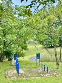 Whispers of Water: A Serene Pause in the Garden