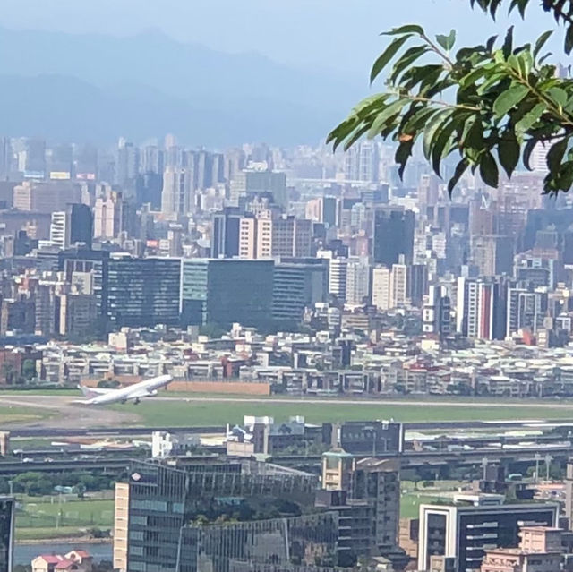 臺北·金面山⛰️台北市中心的驚艷稜線小百岳