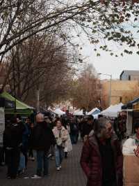 4 Days in Hobart: Nature, Art & Heritage in Tasmania’s Charming Capital 