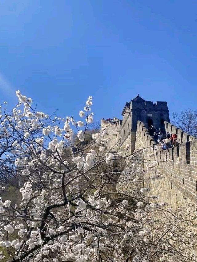 Badaling Unveiled: Where the Great Wall Comes Alive Now
