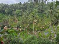 A Memorable Visit to Ubud, Bali
