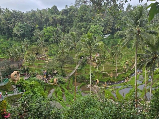 A Memorable Visit to Ubud, Bali