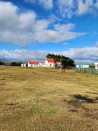 Penguin Paradise and Windy Wonders at Volunteer Point
