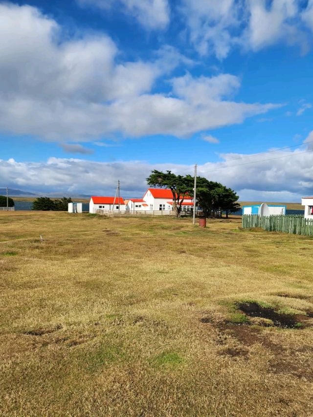 Penguin Paradise and Windy Wonders at Volunteer Point
