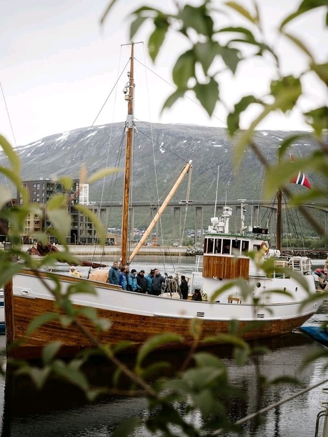 ❄️🌌 “Gateway to the Arctic: My Magical Day in Tromsø” 🇳🇴