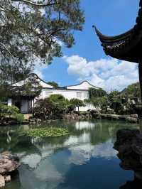 Charming Classic Garden Escape at Master of Nets Garden