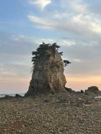 서해의 낙조를 품은 바다🌅🌊