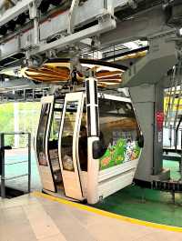 Swing Above the City aboard the Maokong Gondola