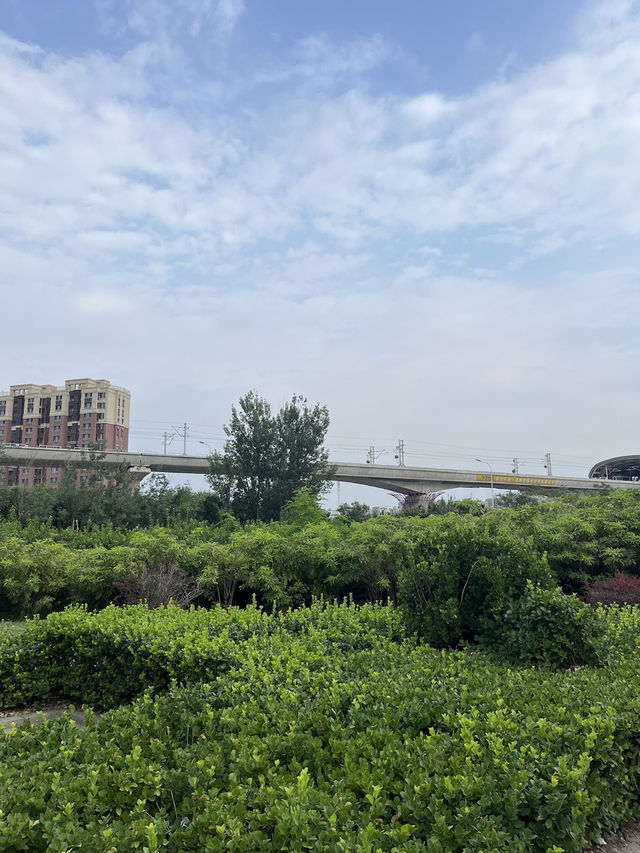 Why Tinajin is China’s Paris 🇨🇳❤️🇫🇷 Why Tinajin is China’s Paris 🇨🇳❤️🇫🇷