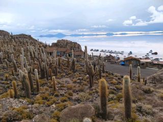 Cactus Trails and Salt Horizons of Isla Incahuasi