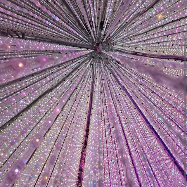 TeamLab Borderless (MORI Building Digital Art Museum) TeamLab Borderless (MORI Building Digital Art Museum)